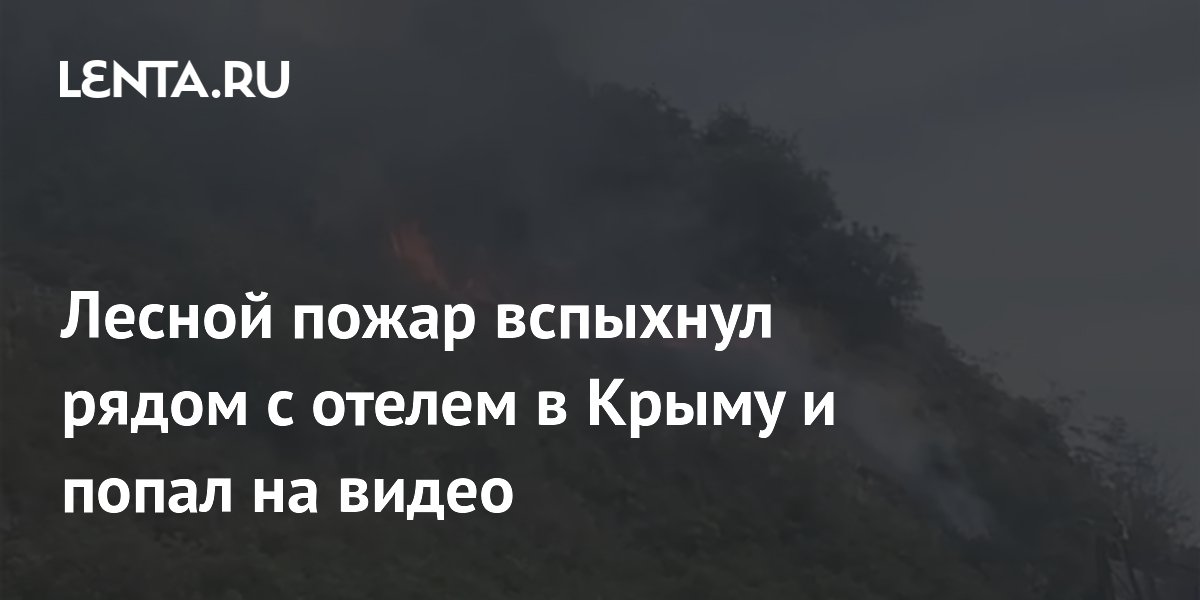 Лесной пожар вспыхнул рядом с отелем в Крыму и попал на видео