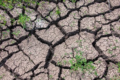 В России научились прогнозировать засухи на год вперед
