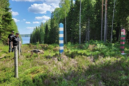 В строительстве забора на границе России с Финляндией увидели риски для экологии