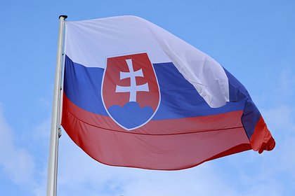 В Словакии напали на не поддержавшего антироссийскую резолюцию депутата