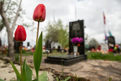 Тело бойца СВО достали из могилы спустя год после похорон. Зачем это сделали?