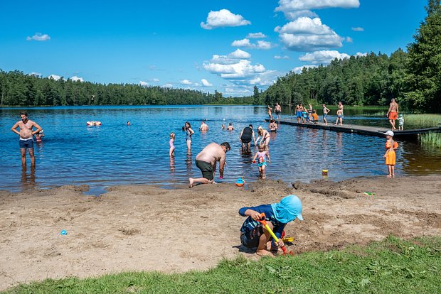 Вводная картинка