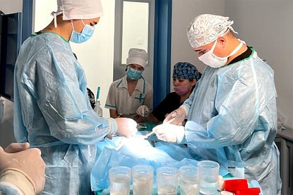 Уфимские студенты впервые провели операцию по пересадке искусственного кишечника