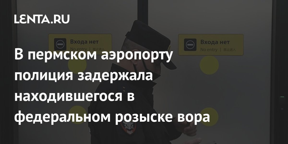 В пермском аэропорту полиция задержала находившегося в федеральном розыске вора