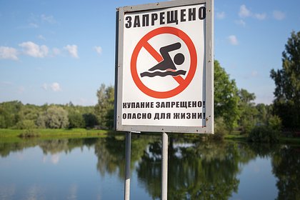Россиянам подсказали способы избежать «болезни купальщика»