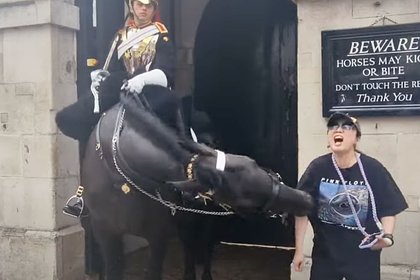 Лошадь из гвардии Карла III вцепилась в руку женщине и попала на видео