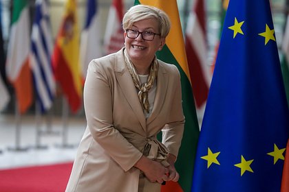 Президент Литвы назначил премьера