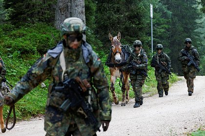 В Литве заявили о готовности принять немецкую бригаду в 2026 году