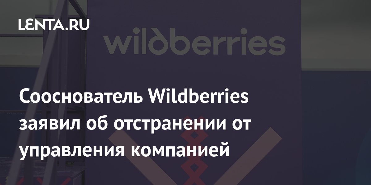 Сооснователь Wildberries заявил об отстранении от управления компанией ...