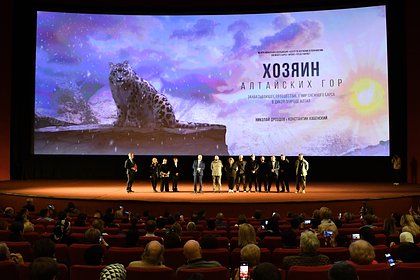 В России сняли первый полнометражный фильм про снежного барса