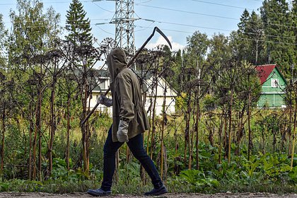 Дачная амнистия – регистрация участков и домов в упрощенном порядке | Журнал Самолет Плюс