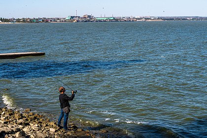 Сообщение об экоциде на побережье Азовского моря не подтвердилось