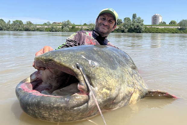 Вводная картинка