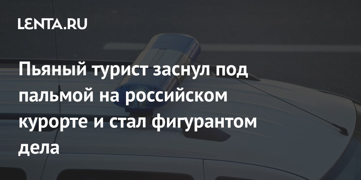 Пьяный турист заснул под пальмой на российском курорте и стал фигурантом дела