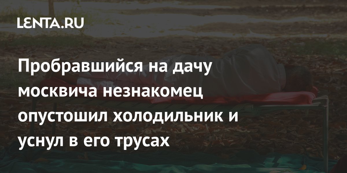 Пробравшийся на дачу москвича незнакомец опустошил холодильник и уснул в его трусах
