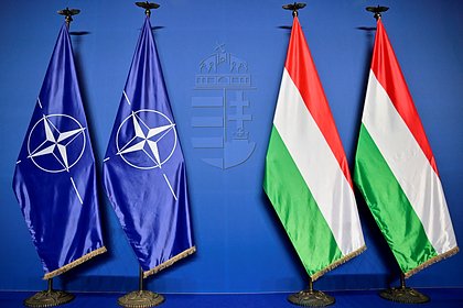 Польша предложила Венгрии выйти из ЕС и НАТО