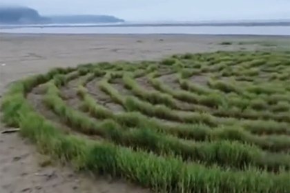 Необычные травяные лабиринты на российском пляже попали на видео