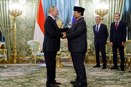 Новый президент Индонезии увидел в России большого друга