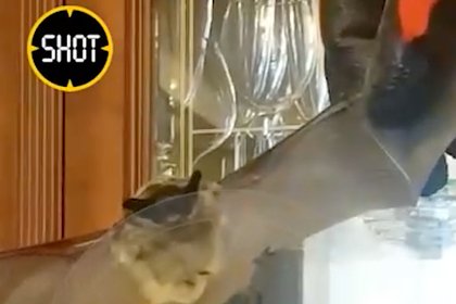 Летучая мышь напугала москвичей и попала на видео