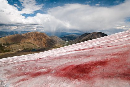Горы в российском регионе окрасились в кроваво-красный цвет