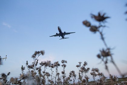 Россиянам назвали самые выгодные месяцы для полетов