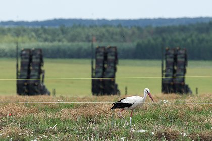 В России высказались об усилении Польшей сил ПВО на восточной границе