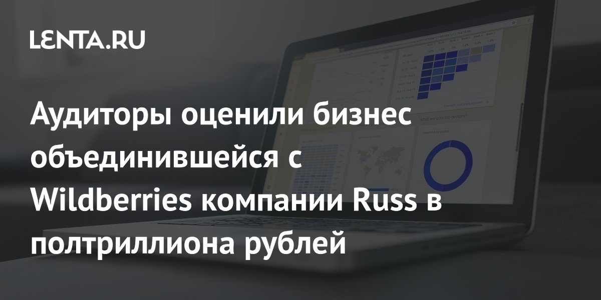 Аудиторы оценили бизнес объединившейся с Wildberries компании Russ в ...