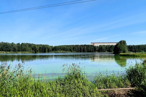 Вводная картинка