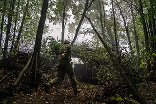 В Сосновом Бору мигранты изнасиловали женщину в лесу и снимали процесс на мобильный телефон