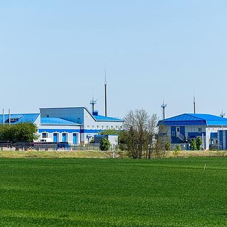 «Газпром» назвал объемы поставок газа в Европу через станцию «Суджа»