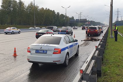 Смертельное ДТП парализовало движение на МКАД