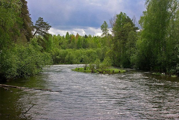 Вводная картинка