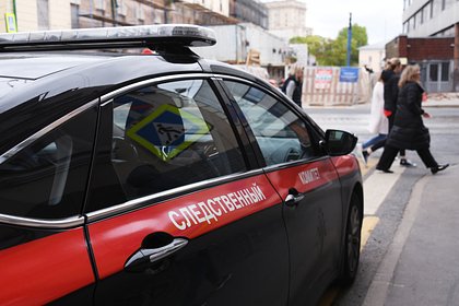 По факту обмана Ларисы Долиной мошенниками возбудили уголовное дело