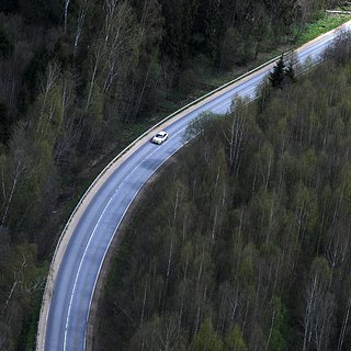 Грибника арестовали после убийства жены в лесу