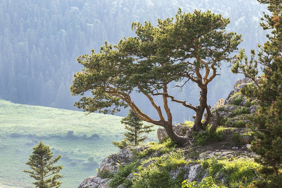 Кавказские горы, Республика Адыгея