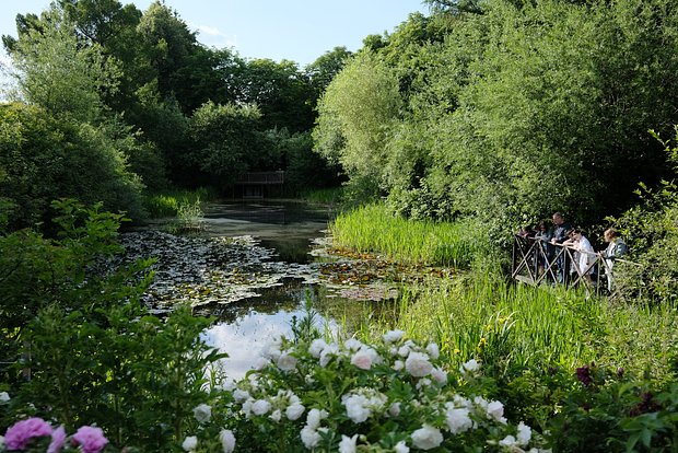 Вводная картинка