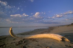 архивное фото