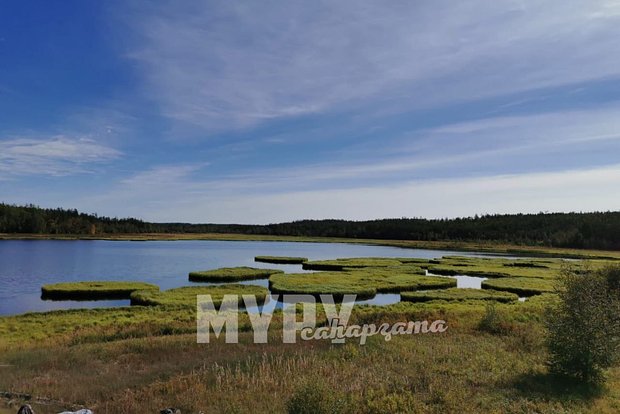 Вводная картинка