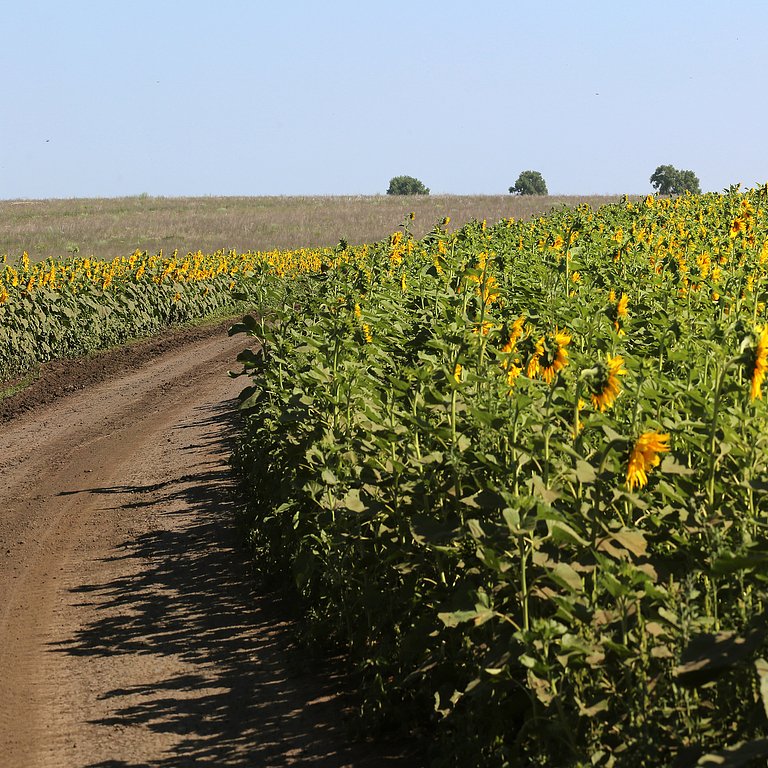 23.08 2024 курская область