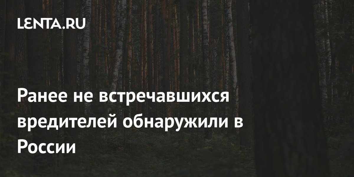 Ранее не встречавшихся вредителей обнаружили в России