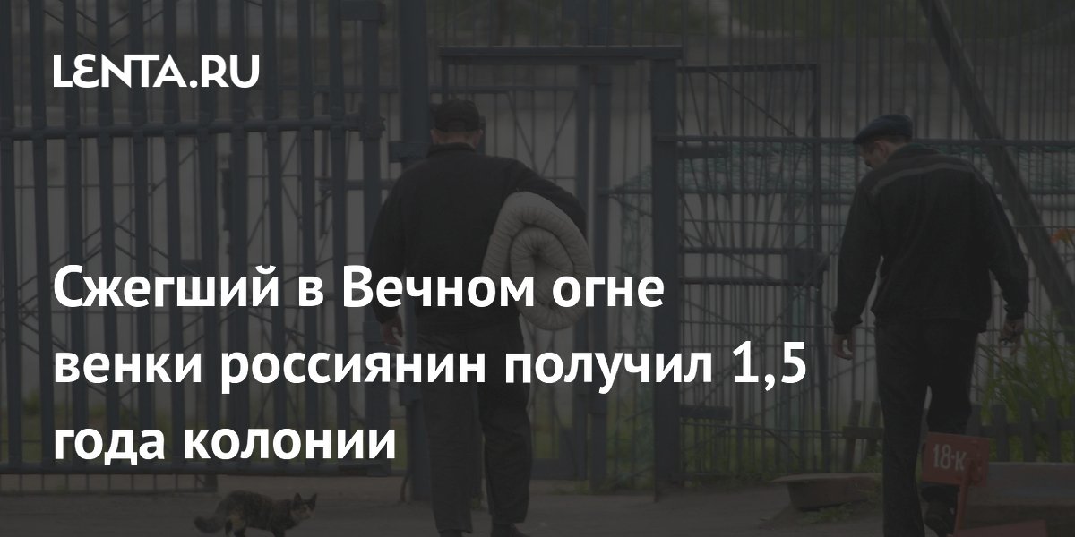 Сжегший в Вечном огне венки россиянин получил 1,5 года колонии