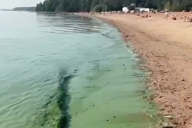 Вводная картинка