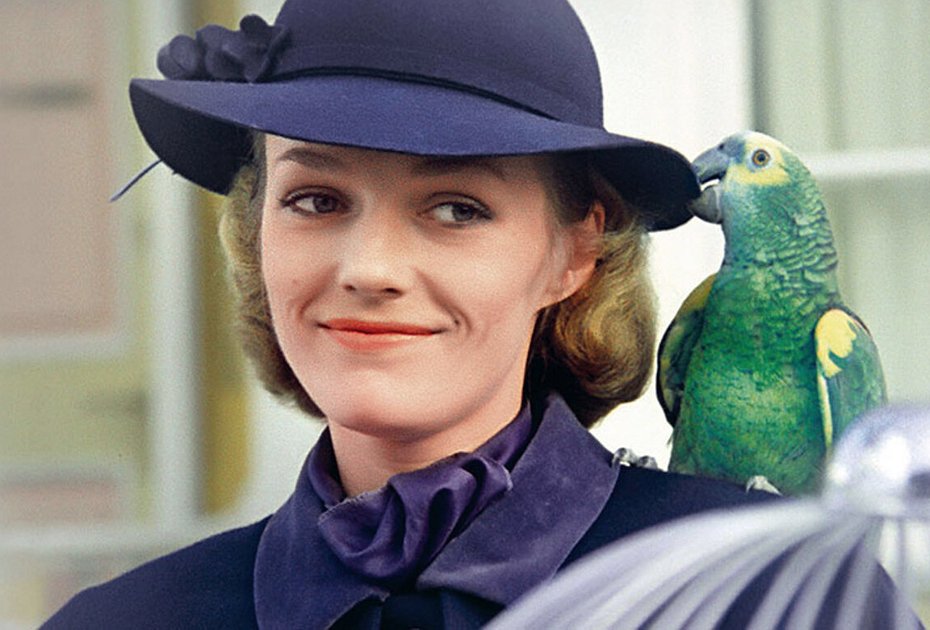 Haqiqiy katta kokrak bilan onlayn porno tomosha qiling