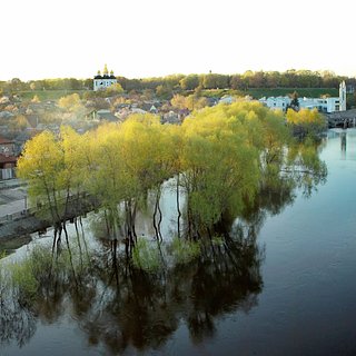 Убытки из-за загрязнения украинской реки оценили
