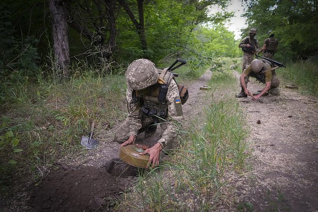 Вводная картинка