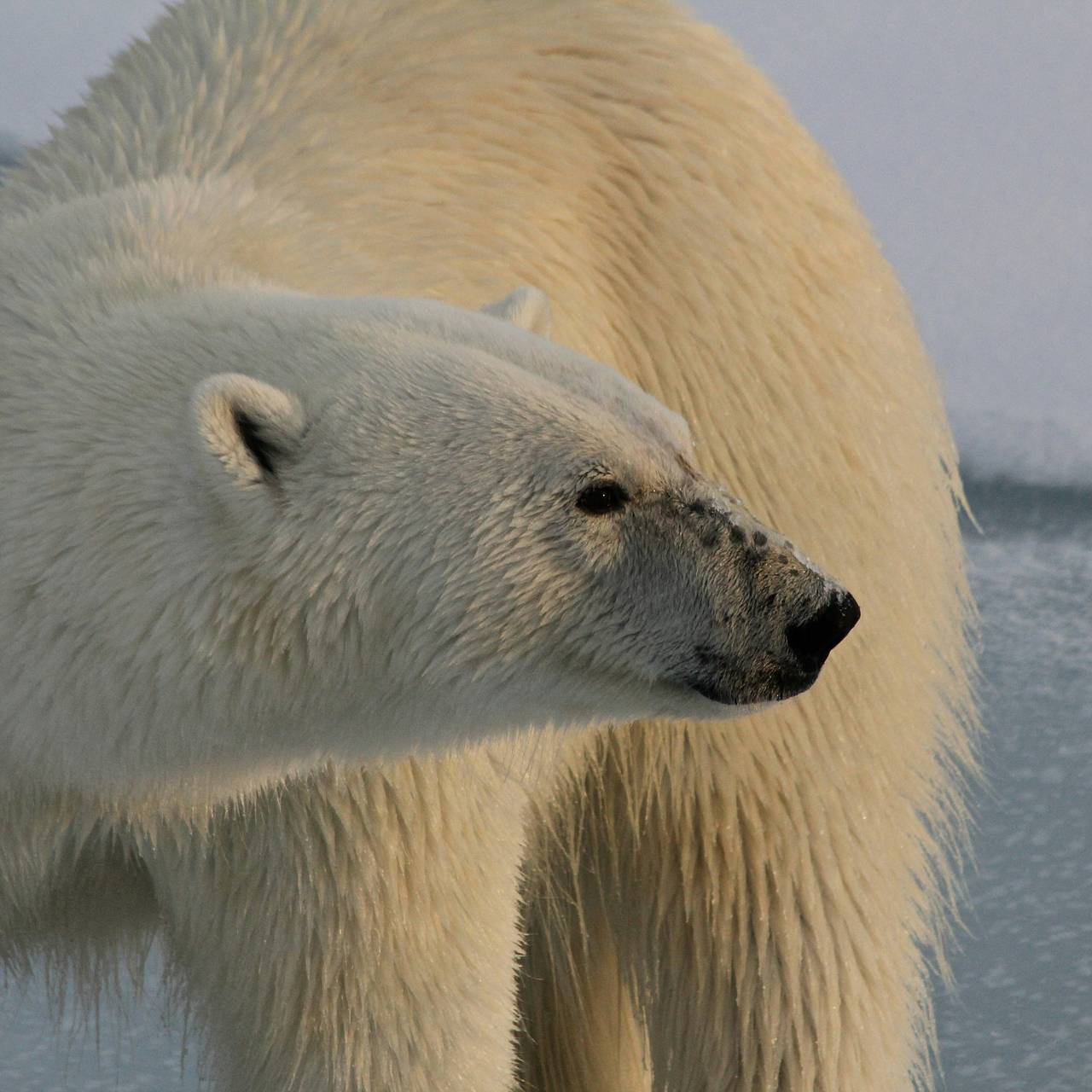 Фото: Alex Rose / Unsplash