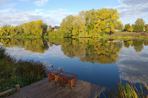 Вводная картинка