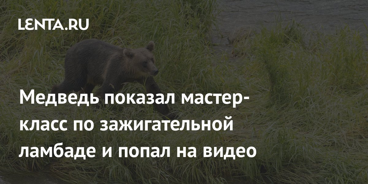 Фёдор Емельяненко показал, как проводил мастер-класс в Сербии - Чемпионат