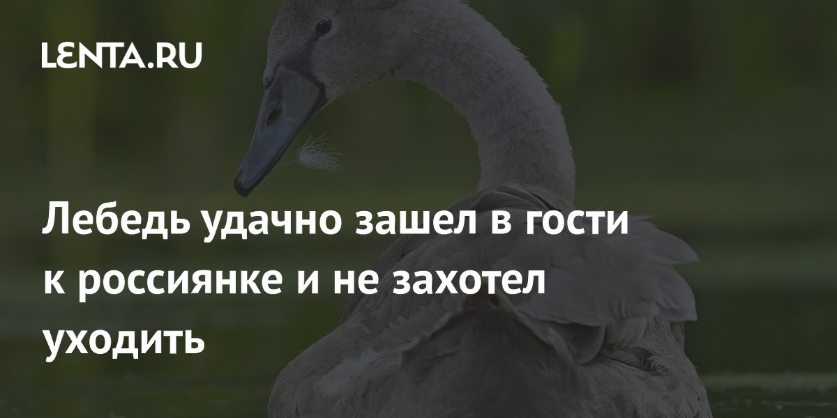 Анекдот №684240 Анекдот №684240