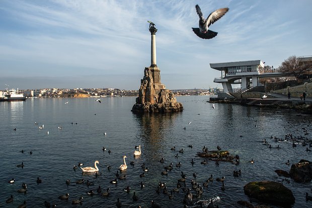 Вводная картинка